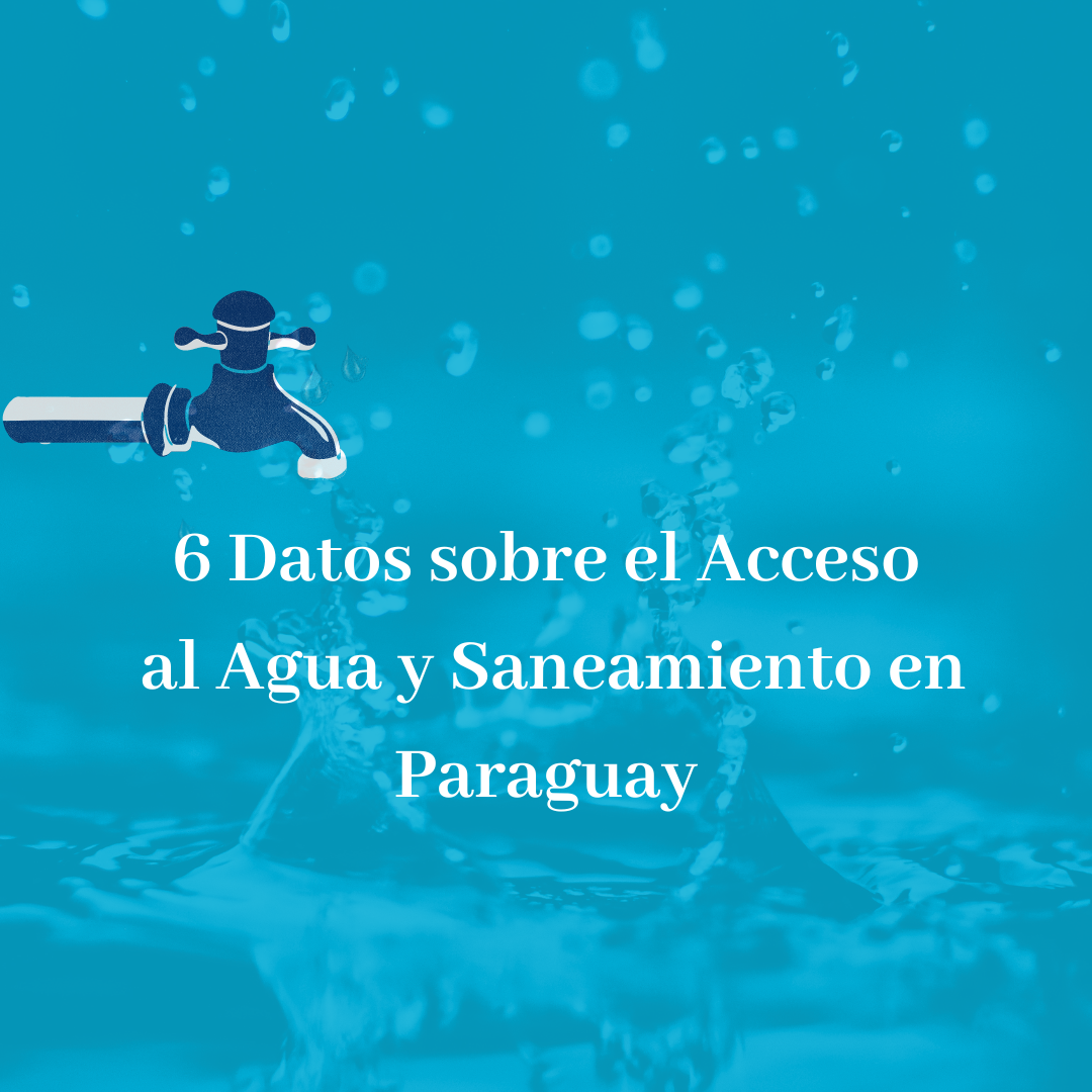 La Realidad del Servicio de Agua Potable y Saneamiento en Paraguay